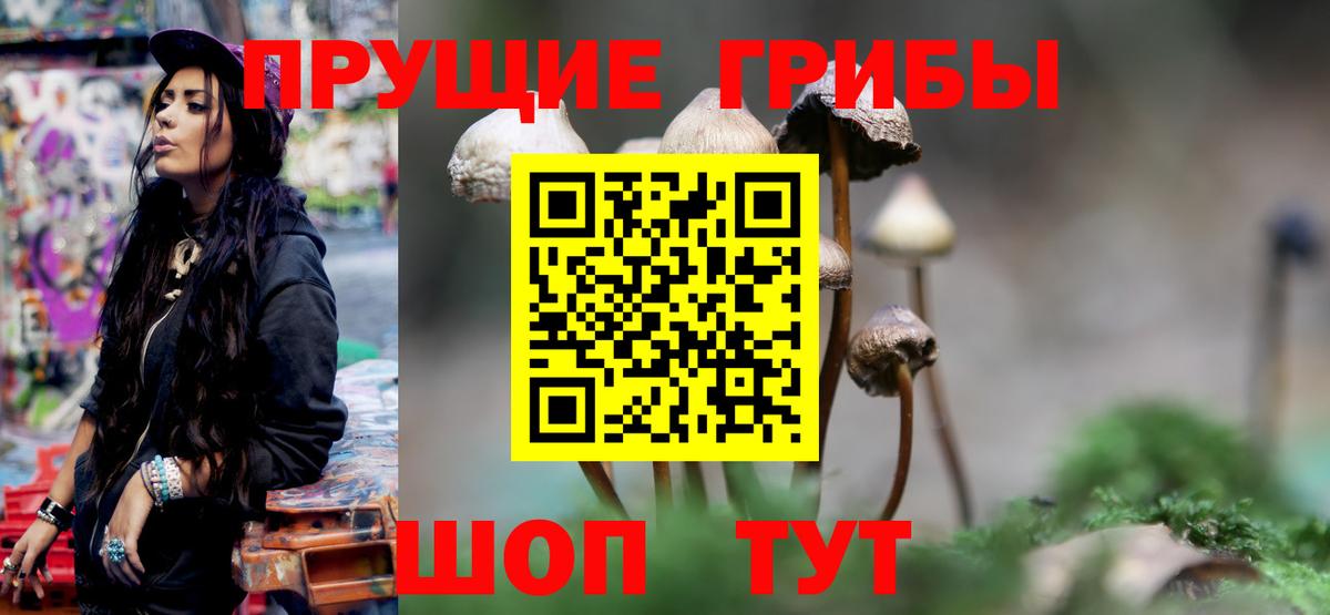 Псилоцибиновые грибы Magic Shrooms  Вход с VPN  где найти наркотики  Псилоцибиновые грибы прущие грибы  Дербент 