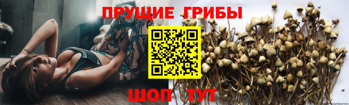 Галлюциногенные грибы MAGIC MUSHROOMS Дербент
